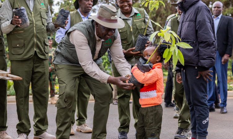 President William Ruto tree planting at State House, Nairobi.